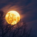 Photo 1 full moon